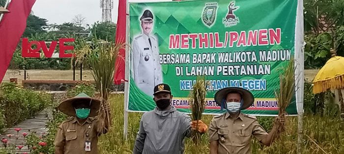 Kabar Gembira dari Wali Kota Madiun, Subsidi Pupuk Hingga Rp1 M akan Diberikan untuk Petani Kabar Gembira dari Wali Kota Madiun, Subsidi Pupuk Hingga Rp1 M akan Diberikan untuk Petani