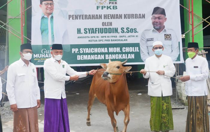 PKB Bangkalan Salurkan 6 Ekor Sapi Kurban ke Pondok Pesantren