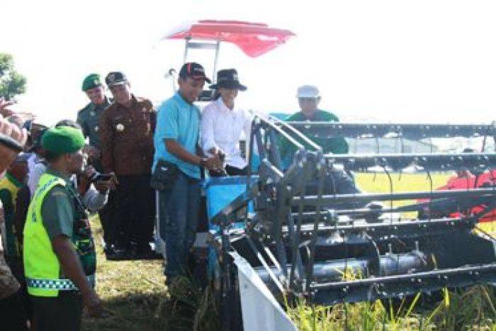 Panen Padi di Lamongan, Menteri Rini Desak BUMN Beli Gabah Petani Panen Padi di Lamongan, Menteri Rini Desak BUMN Beli Gabah Petani