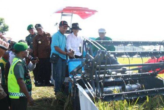 Panen Padi di Lamongan, Menteri Rini Desak BUMN Beli Gabah Petani