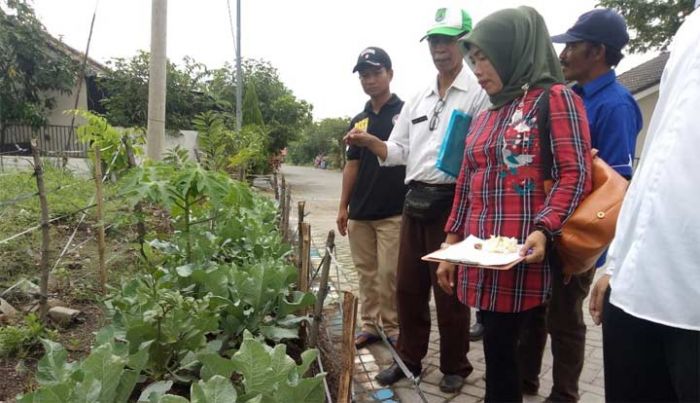 Ajak Masyarakat Manfaatkan Pekarangan untuk Penuhi Pangan, DPKP Gelar Lomba KRPL