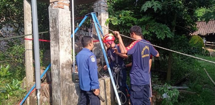 Dramatis, Damkar Selamatkan Kambing Tercebur Sumur Sedalam 17 Meter di Blitar Dramatis, Damkar Selamatkan Kambing Tercebur Sumur Sedalam 17 Meter di Blitar