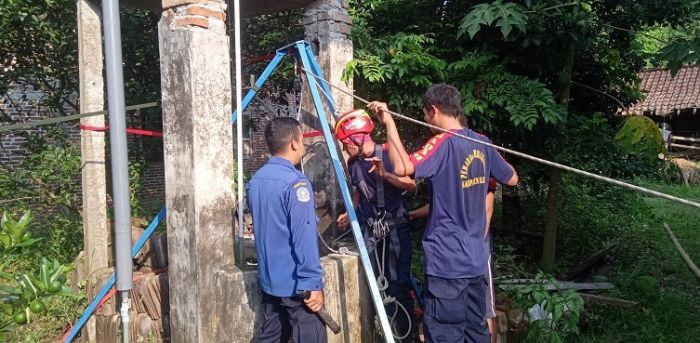 Dramatis, Damkar Selamatkan Kambing Tercebur Sumur Sedalam 17 Meter di Blitar