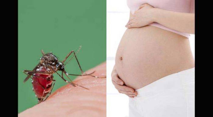 Belum Ada Obatnya, Virus Zika Bikin Kepala Bayi Mengecil