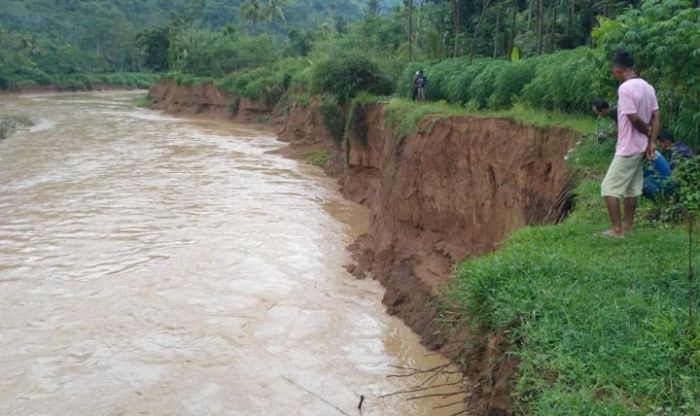 Abrasi Sungai Grindulu Semakin Meluas Abrasi Sungai Grindulu Semakin Meluas