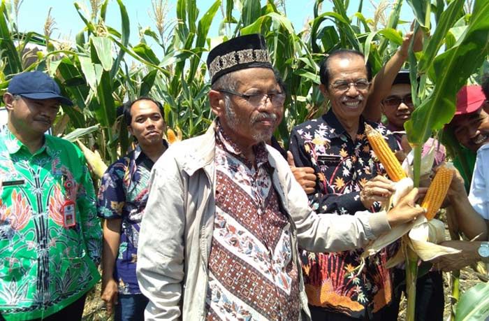 Luncurkan Bibit Jagung Nasa 29, Magetan Berharap Swasembada Pangan