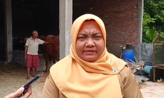 Antisipasi Merebaknya PMK, DKPP Kota Blitar Lakukan Vaksinasi Sapi Antisipasi Merebaknya PMK, DKPP Kota Blitar Lakukan Vaksinasi Sapi