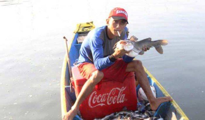 Ikan di Kali Porong Mabuk, Warga Ramai-ramai Berburu Ikan di Kali Porong Mabuk, Warga Ramai-ramai Berburu