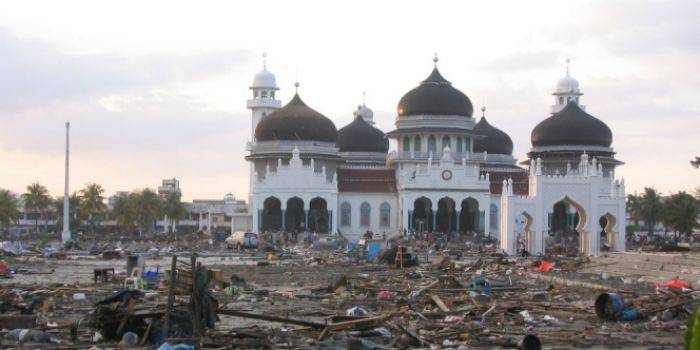 Kisah Nyata: Nenek Selamat Dari Tsunami Aceh Berkat Ular Raksasa
