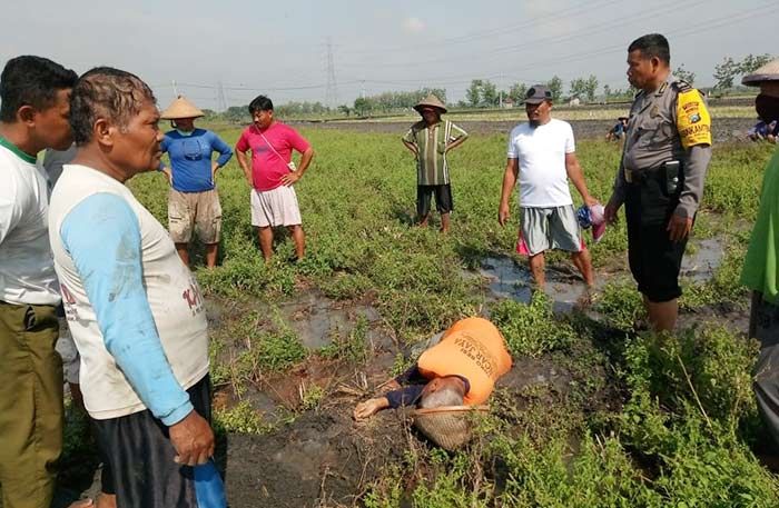 ​Seorang Kakek Ditemukan Meninggal di Sawah Geneng Ngawi