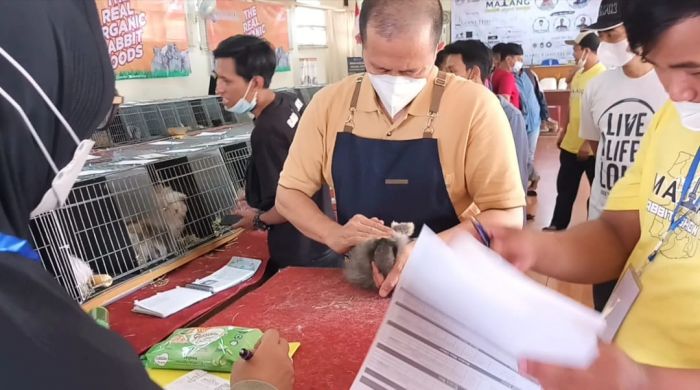 Meriahnya Malang Rabbit Show 2022, Kelinci Milik Wali Kota Batu Sabet Tiga Juara Meriahnya Malang Rabbit Show 2022, Kelinci Milik Wali Kota Batu Sabet Tiga Juara