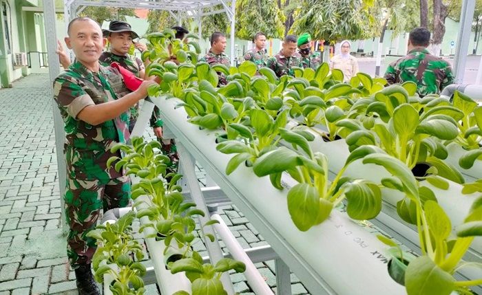 Kasrem 084/Bhaskara Jaya Ajak Personel Panen Sayuran Hasil Budidaya Akuaponik dan Organik