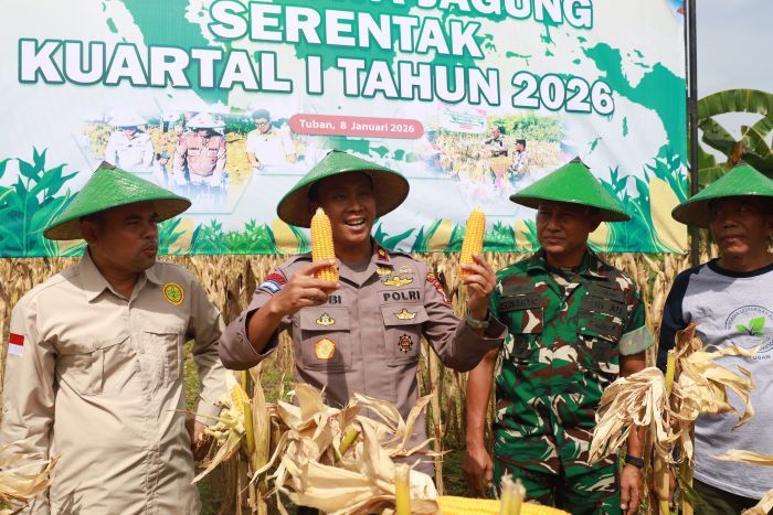 Awal Tahun, Polres Tuban Gelar Panen Raya Jagung Kuartal IV
