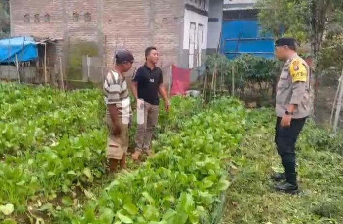 Dukung Ketahanan Pangan, Polsek Ngrambe Pantau Pemanfaatan Pekarangan Rumah untuk Pertanian Dukung Ketahanan Pangan, Polsek Ngrambe Pantau Pemanfaatan Pekarangan Rumah untuk Pertanian