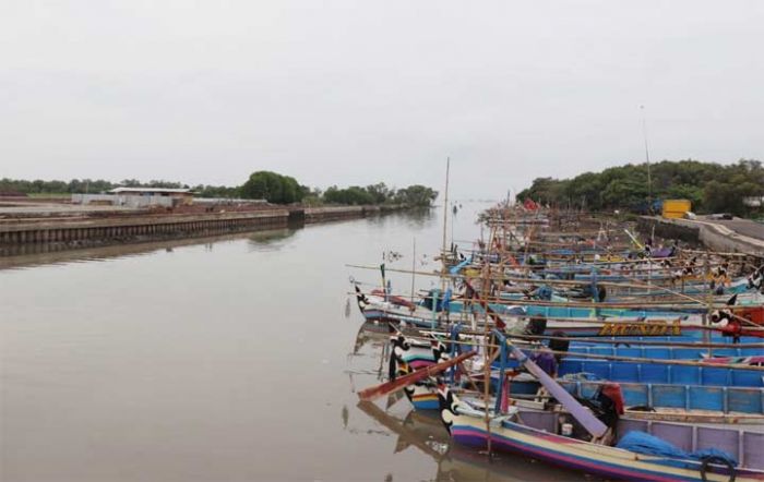 Unik dengan Fenomena Munculnya Hiu ​Tutul, Pantai Pasta Marina Bisa jadi Wisata Andalan