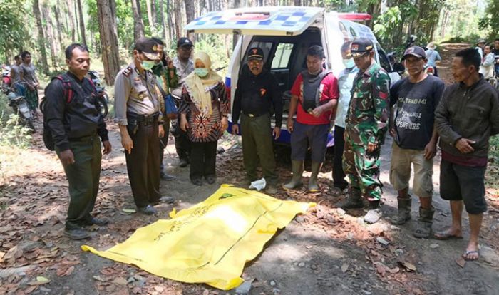 ​Nenek Mrs X di Hutan Jember Tewas dengan Kaki Kiri Habis Dimakan Hewan Buas