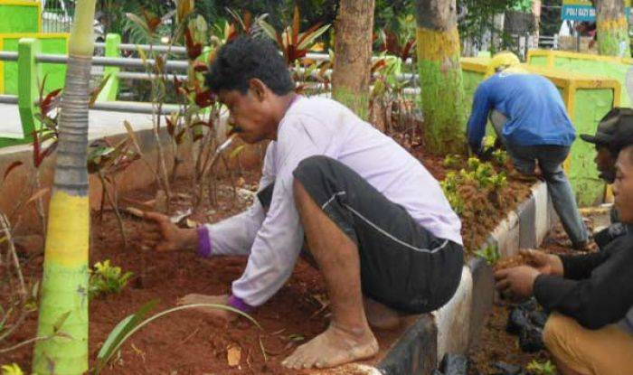 Puluhan Bunga Mahal di Taman Kota Lamongan Dicuri Maling Puluhan Bunga Mahal di Taman Kota Lamongan Dicuri Maling