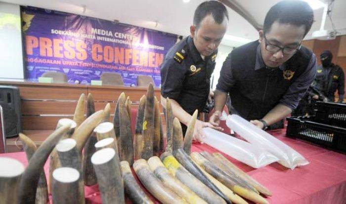 Selama Dua Bulan, Bea Cukai Soekarno-Hatta Gagalkan Penyelundupan Satwa Senilai Rp 21 M