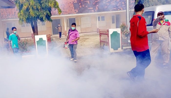 Ada yang Terjangkit DBD, Dinkes Pamekasan Fogging Pendopo Ronggosukowati dan 32 Kantor OPD Serentak