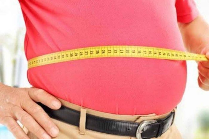 Ini Faktor Pemicu Obesitas, Salah Satunya Pola Makan Tidak Teratur Ini Faktor Pemicu Obesitas, Salah Satunya Pola Makan Tidak Teratur