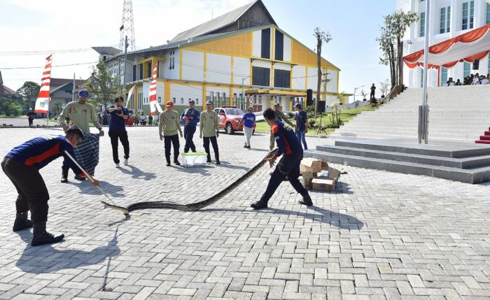 Bupati Pasuruan Dorong Satpol PP Tingkatkan Profesionalitas dalam Jalankan Tugas Bupati Pasuruan Dorong Satpol PP Tingkatkan Profesionalitas dalam Jalankan Tugas