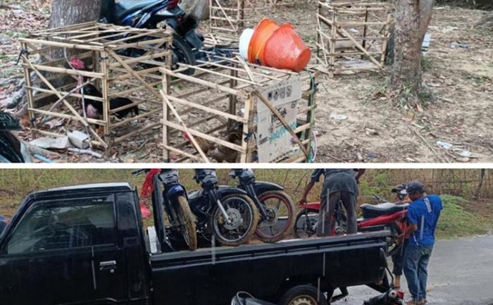 Hutan di Kangean Jadi Ajang Perjudian Sabung Ayam, 14 Motor dan 8 Ayam Diamankan Petugas Hutan di Kangean Jadi Ajang Perjudian Sabung Ayam, 14 Motor dan 8 Ayam Diamankan Petugas