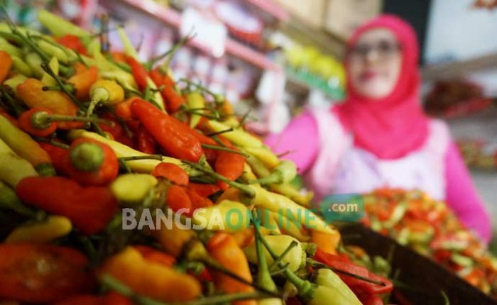 Harga Cabai Rawit di Jombang Makin Pedas, Kini Tembus Rp 100 per Kilogram 