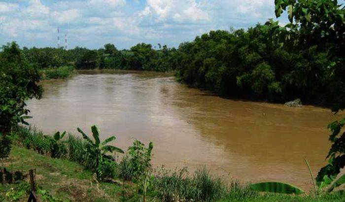 Enam Kecamatan di Lamongan Terancam Luapan Bengawan Solo Enam Kecamatan di Lamongan Terancam Luapan Bengawan Solo