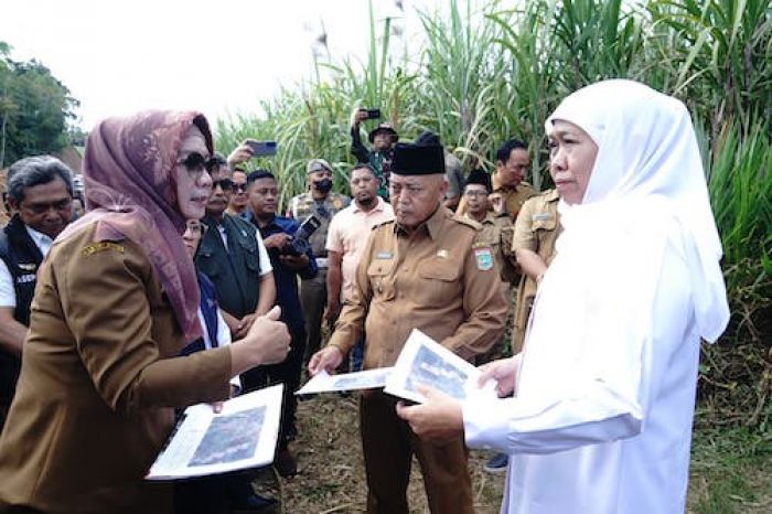 Bupati Malang Dampingi Gubernur Jatim Tinjau Lahan Seluas 9,7 Hektar Calon Sekolah Rakyat Bupati Malang Dampingi Gubernur Jatim Tinjau Lahan Seluas 9,7 Hektar Calon Sekolah Rakyat