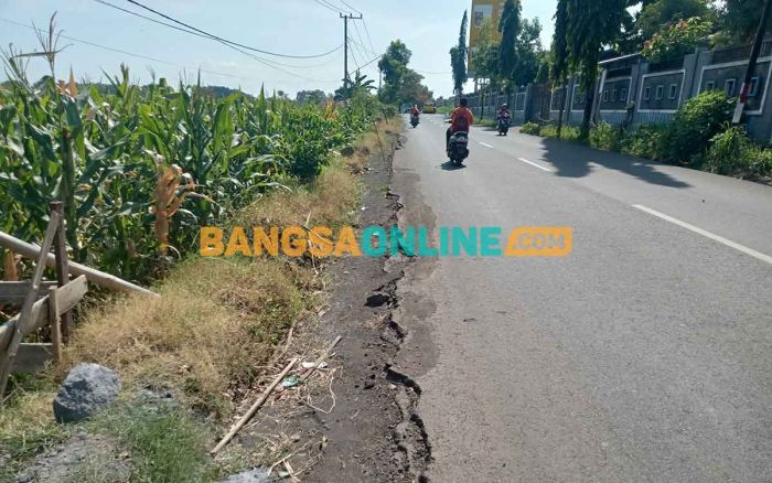 Pemeliharaan Berkala Jalan Semeru Senilai Rp1,2 M di Kota Probolinggo Diputus Kontrak Pemeliharaan Berkala Jalan Semeru Senilai Rp1,2 M di Kota Probolinggo Diputus Kontrak