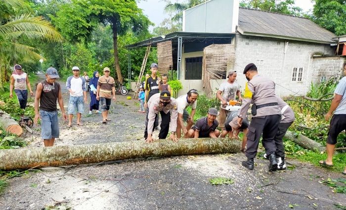 Puting Beliung di Blitar, 2 Rumah dan 2 Kandang Ternak Rusak Tertimpa Pohon