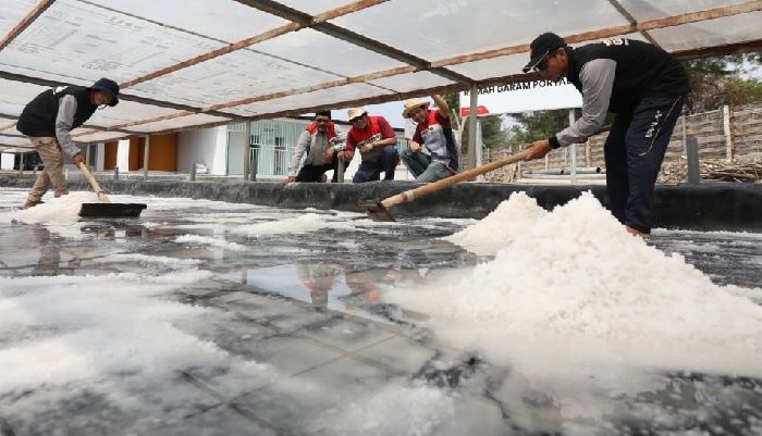 Berkat Inovasi Siram Berbakat dan TUF, PHE WMO Sukses Pertahankan Proper Emas Berkat Inovasi Siram Berbakat dan TUF, PHE WMO Sukses Pertahankan Proper Emas