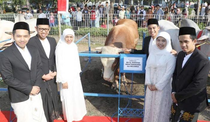 Qurban Sapi 1 Ton, Gubernur Khofifah Kenalkan Besek dan Daun Jati untuk Pengganti Kantong Plastik Qurban Sapi 1 Ton, Gubernur Khofifah Kenalkan Besek dan Daun Jati untuk Pengganti Kantong Plastik
