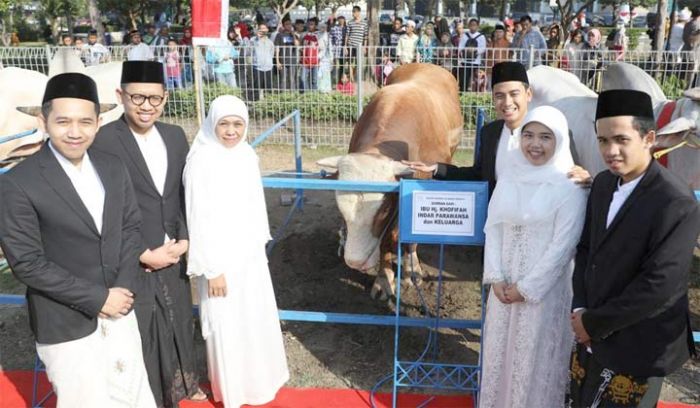 Qurban Sapi 1 Ton, Gubernur Khofifah Kenalkan Besek dan Daun Jati untuk Pengganti Kantong Plastik