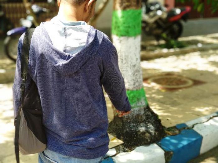 Waspadai Pohon Ayoman yang Akarnya Mulai Menyembul Keluar Waspadai Pohon Ayoman yang Akarnya Mulai Menyembul Keluar
