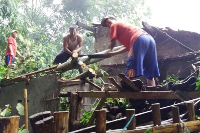Diamuk Puting Beliung, Pohon Besar di Nglegok Blitar Timpa Rumah Warga Diamuk Puting Beliung, Pohon Besar di Nglegok Blitar Timpa Rumah Warga