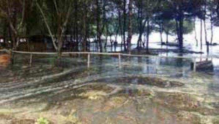 Banjir Rob di Blitar Selatan, BPBD Belum Tinjau Lapangan