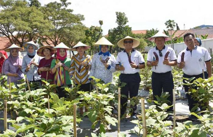 Pangarmatim Rayakan Panen Terong dan Cabai