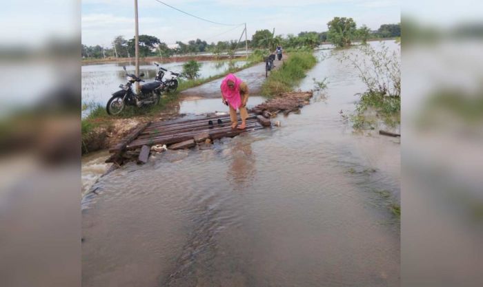 Jembatan Antar Desa Ambrol, Ratusan Hektar Sawah di Sarirejo Terendam