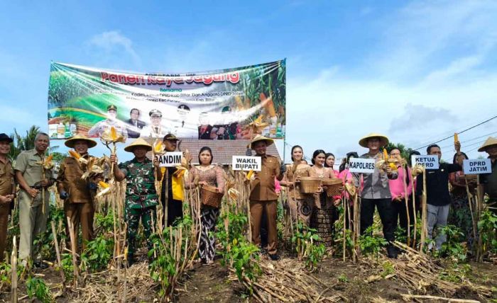 Hari Pertama Kerja, Wakil Bupati Blitar Panen Jagung di Kecamatan Panggungrejo Hari Pertama Kerja, Wakil Bupati Blitar Panen Jagung di Kecamatan Panggungrejo