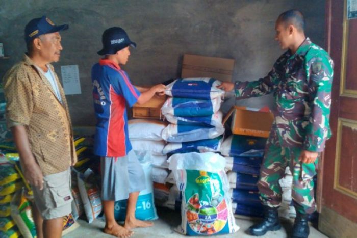 Babinsa Ngunut Cek Penggunaan Pupuk Bersubsidi Babinsa Ngunut Cek Penggunaan Pupuk Bersubsidi