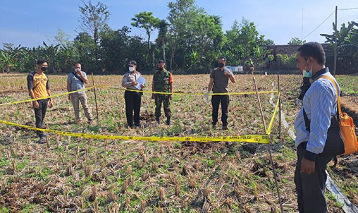 Nahas, Petani di Ngawi Tewas Kesetrum Jebakan Tikus Nahas, Petani di Ngawi Tewas Kesetrum Jebakan Tikus