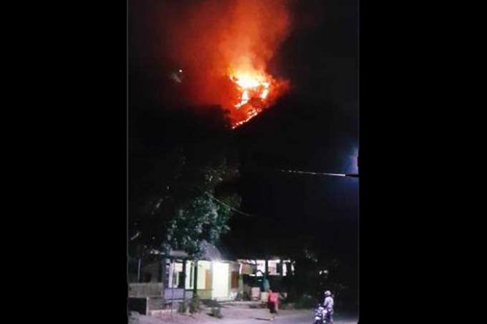 Kebakaran Hutan di Pacitan Terus Meluas Kebakaran Hutan di Pacitan Terus Meluas