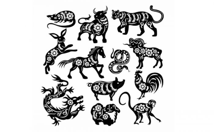 Ramalan Shio Jumat 21 Juni 2024: Tikus Hindari Jajan, Macan Keturutan Lebih Cepat Ramalan Shio Jumat 21 Juni 2024: Tikus Hindari Jajan, Macan Keturutan Lebih Cepat