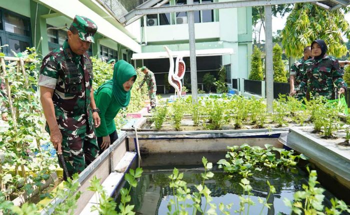 Untuk ke-4 Kalinya, Korem 084/BJ Panen Sayuran dari Teknologi Akuaponik