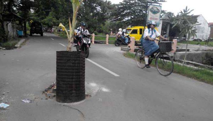 Minta Tumbal 3 Nyawa dan Dibiarkan Rusak, Warga Meri Tanam Pohon Pisang di Jalan Minta Tumbal 3 Nyawa dan Dibiarkan Rusak, Warga Meri Tanam Pohon Pisang di Jalan