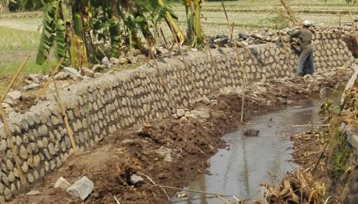 Jaringan Irigasi Rusak Parah, DPU Pasuruan Anggarkan Perbaikan Rp 25 M Jaringan Irigasi Rusak Parah, DPU Pasuruan Anggarkan Perbaikan Rp 25 M