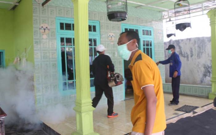 Pasuruan Mulai Siaga DBD, Dua Warga Meninggal Dunia Pasuruan Mulai Siaga DBD, Dua Warga Meninggal Dunia