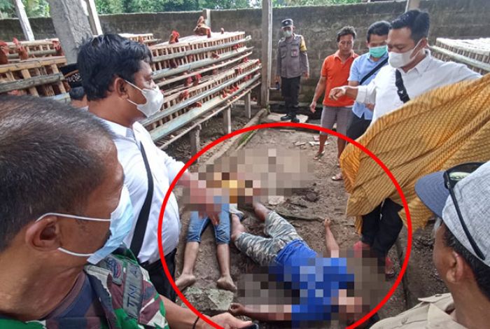 Tersengat Listrik di Kandang Ayam, Dua Warga Blitar Ditemukan Meninggal Dunia Tersengat Listrik di Kandang Ayam, Dua Warga Blitar Ditemukan Meninggal Dunia