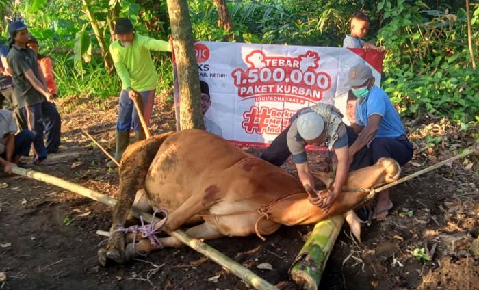DPD PKS Kabupaten Kediri Turut Sukseskan Tebar 1,5 Juta Paket Kurban DPD PKS Kabupaten Kediri Turut Sukseskan Tebar 1,5 Juta Paket Kurban